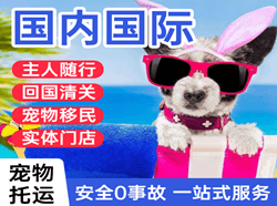 肥东白龙机场货运国际宠物托运 【国